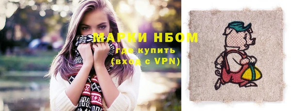 гашик Бородино