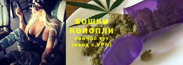 гашик Бородино