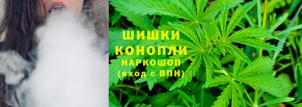 гашик Бородино