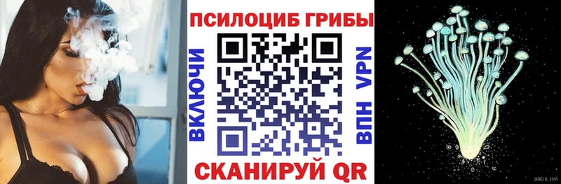 Псилоцибиновые грибы Psilocybe  купить наркотики цена  Красково 
